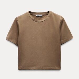 Zara Cropped Stretch T-Shirt M Taupe